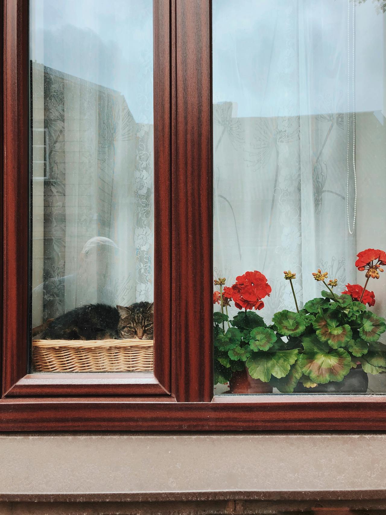 View of Elevate Your Home’s Style with These Glass Design Ideas - Hurricane ...
